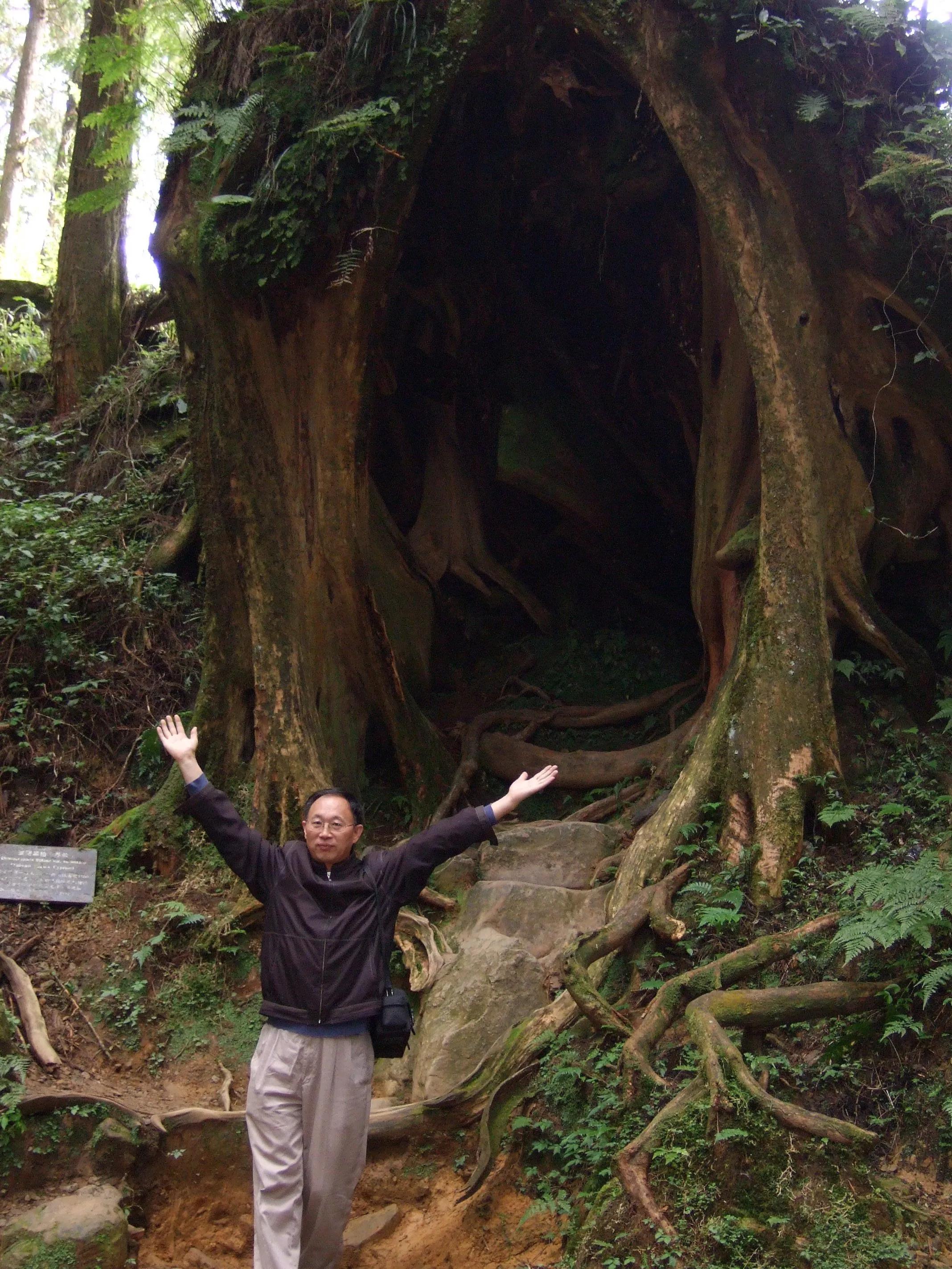 阿里山美丽动人的传说,阿里山的风光美如画