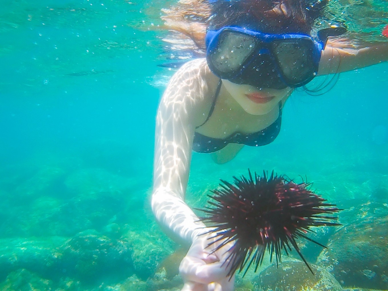 南澳岛看海完整版,南澳岛看海解读