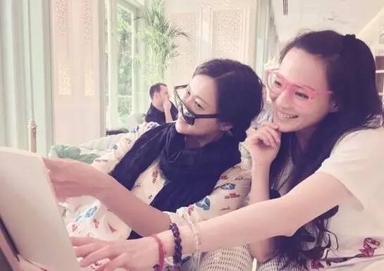 泰迪姐妹团消亡史刘芸篇,泰迪姐妹团消亡史