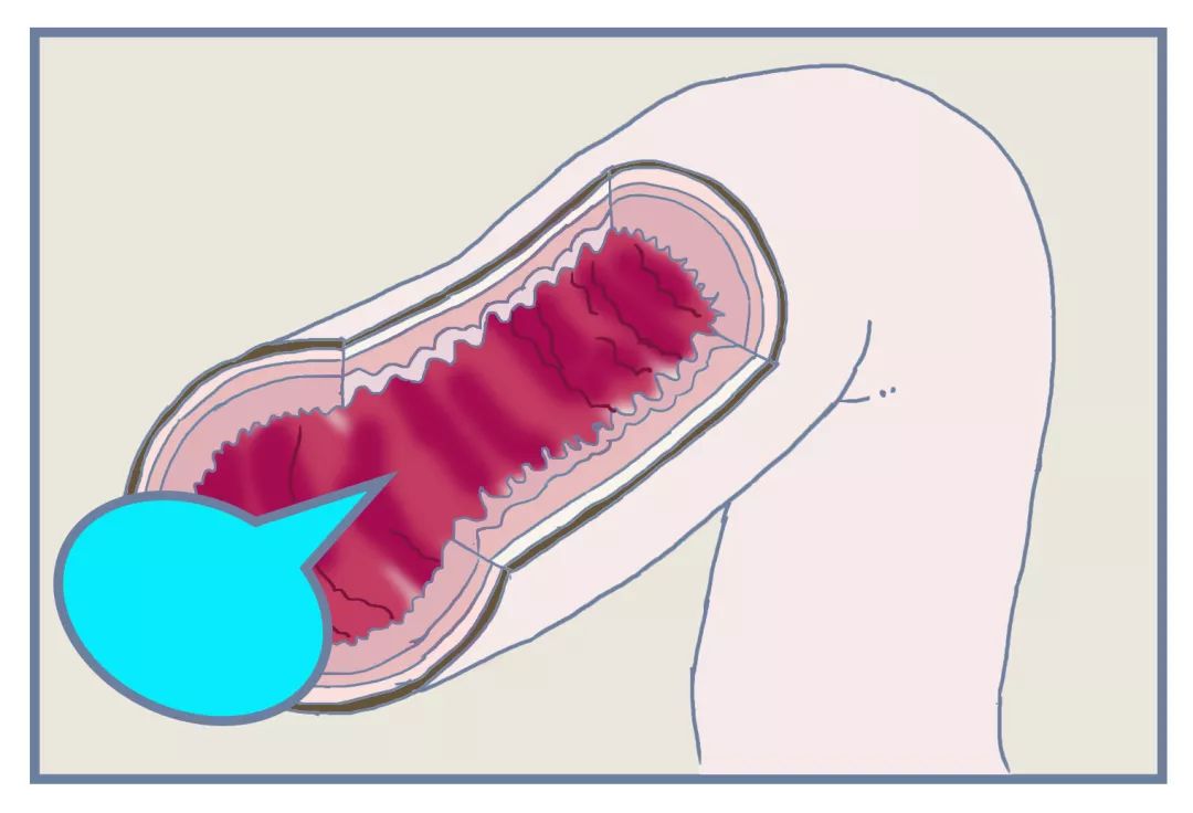 目前最前沿的便秘药,治便秘的药测评