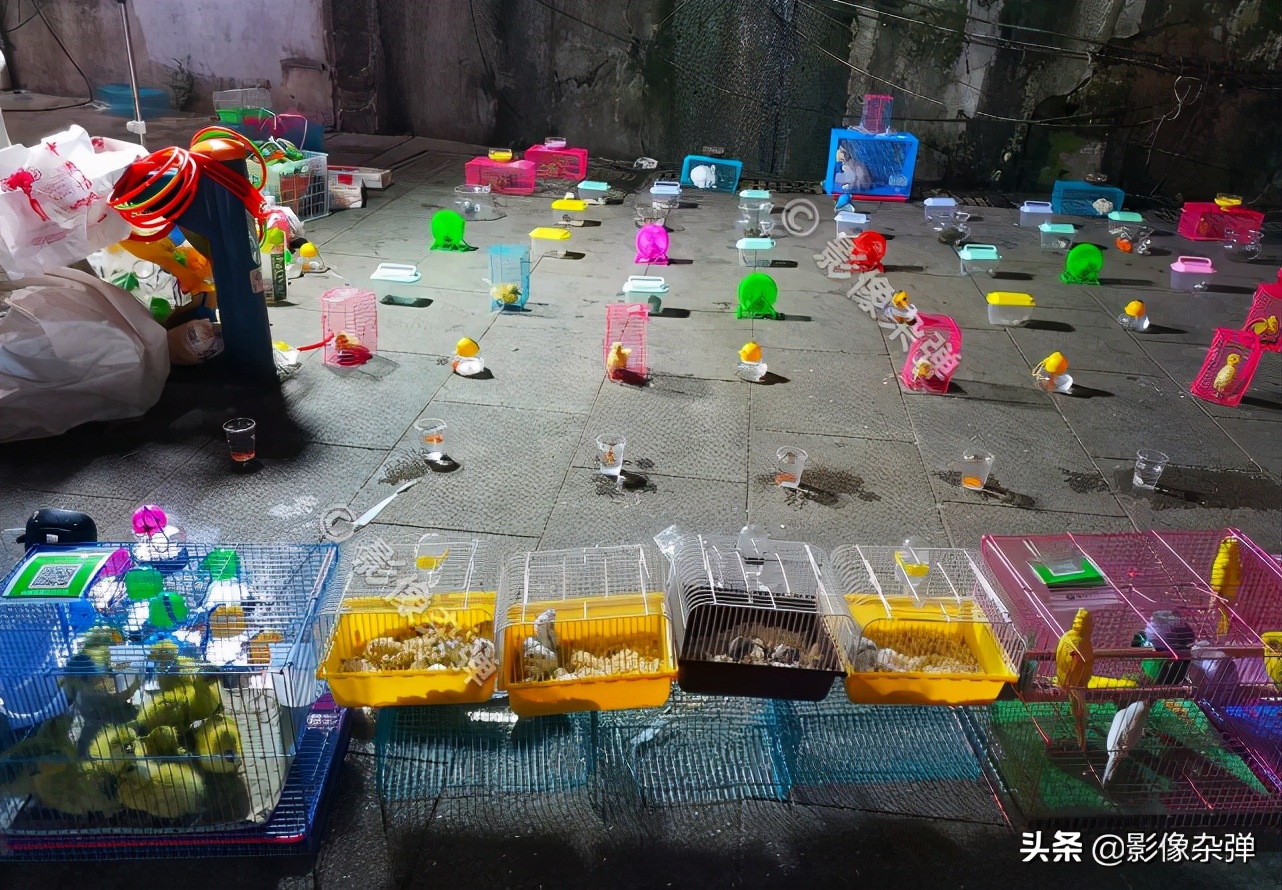 长沙大学城新开的小吃街,长沙美食推荐必吃小吃街湖南大学