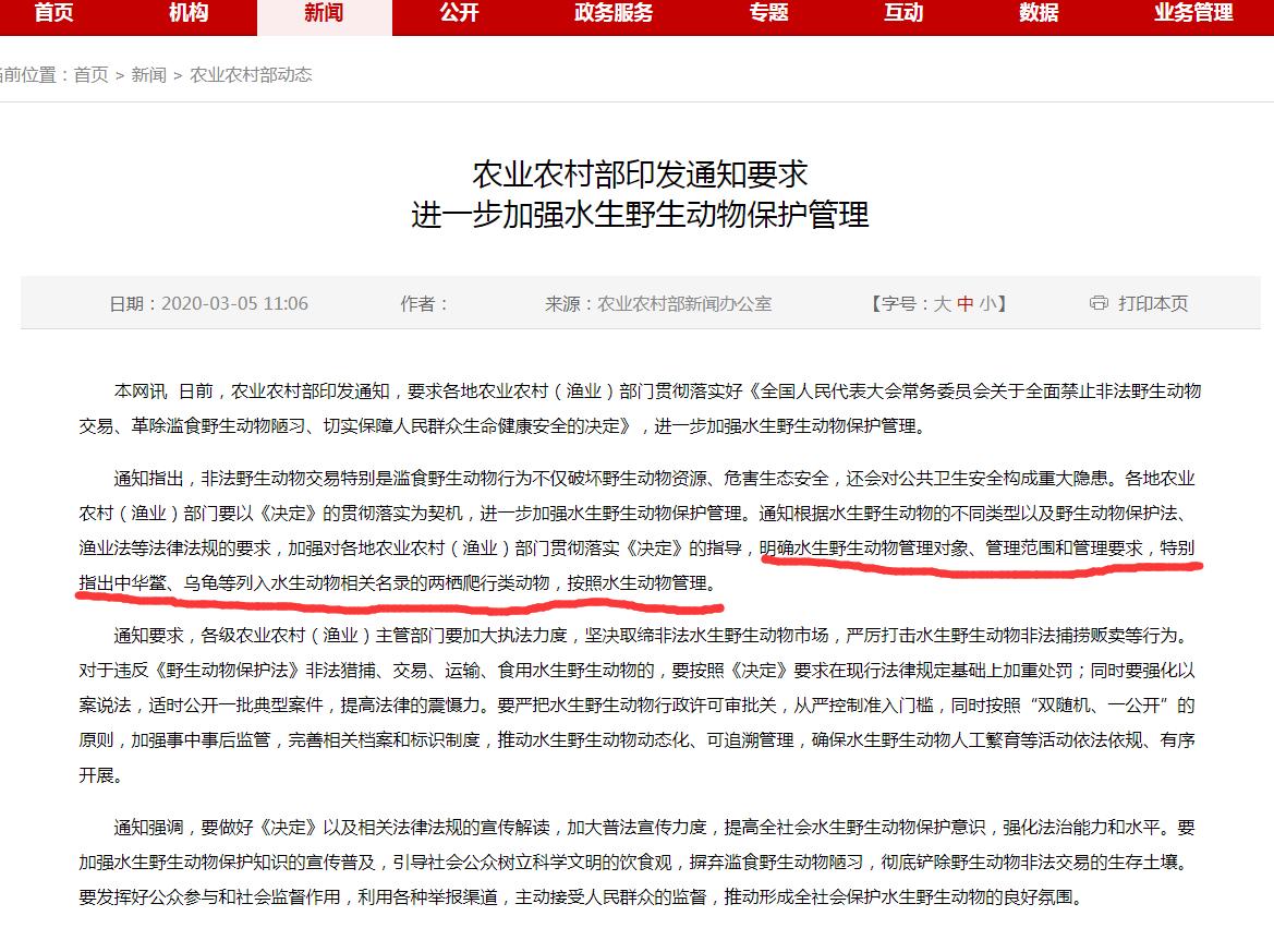 牛蛙会把乌龟吃了么,牛蛙和乌龟