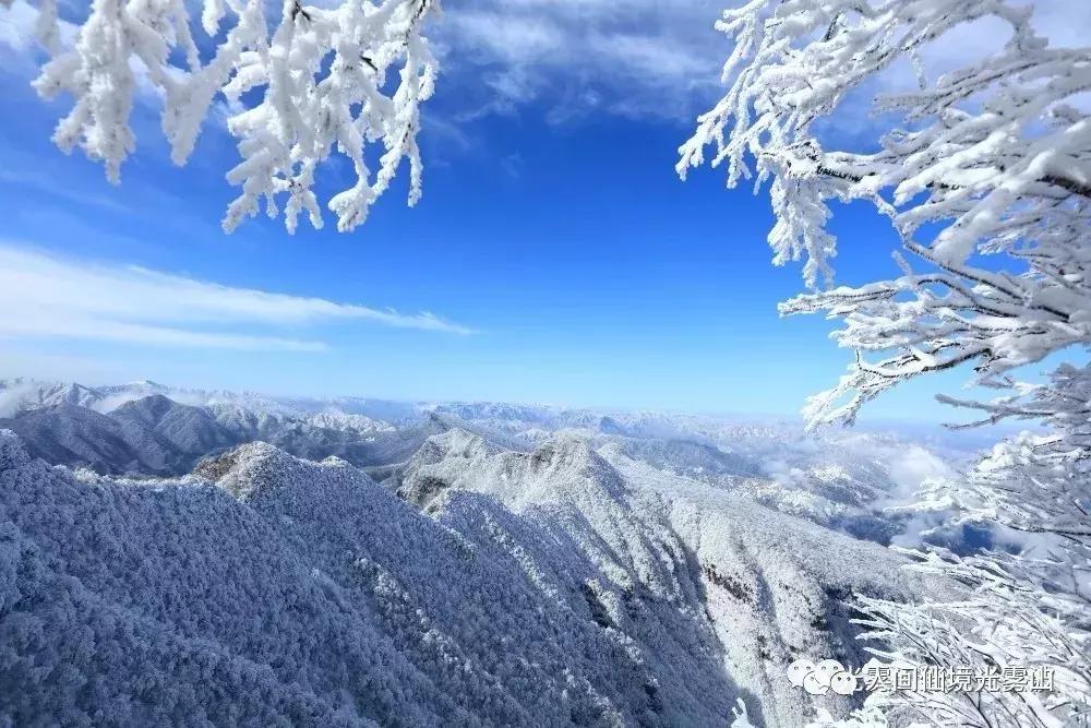 “色香味形”面面俱到!这样的南江你见过吗?