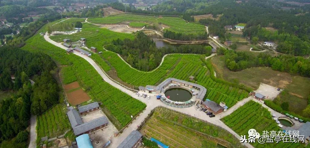 盐亭县产业强县,盐亭未来5年发展