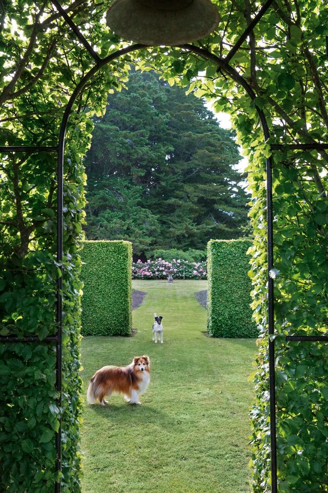 在新西兰奥克兰生活,在新西兰生活的优势