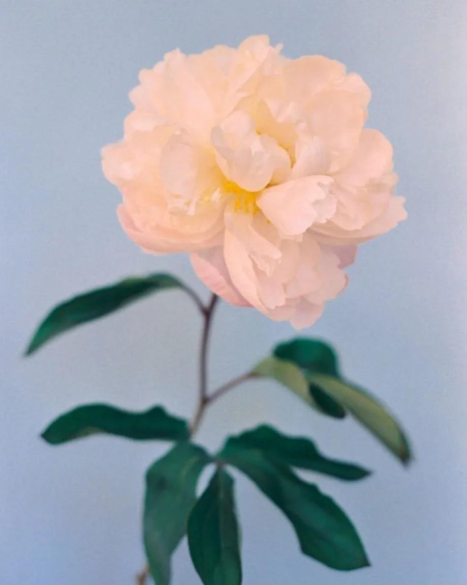 过去与现在你会怎么选择,你会珍惜那个为你流过产的女人吗