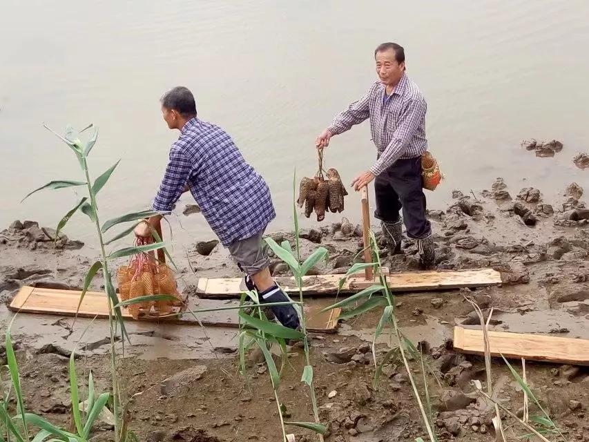 珠海斗门上横古村,珠海斗门古村古镇