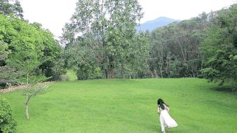 深圳旅游4天最佳路线,深圳出发四天旅游攻略推荐