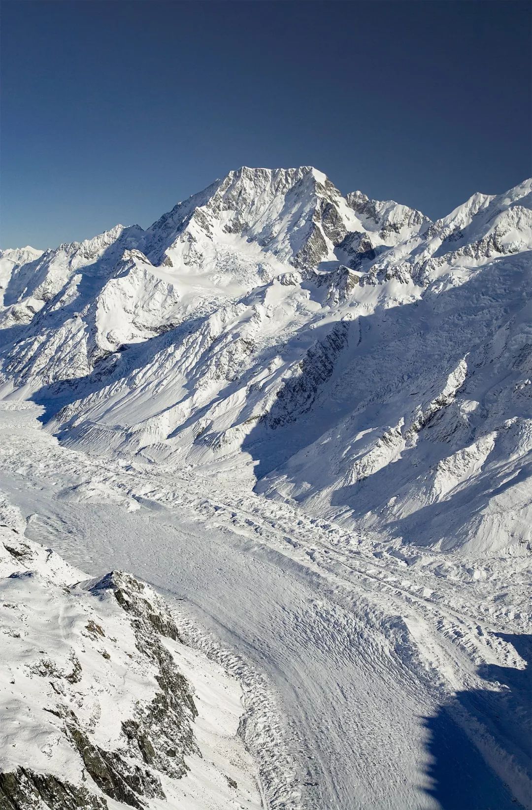 新西兰为什么那么发达,新西兰为什么这么牛