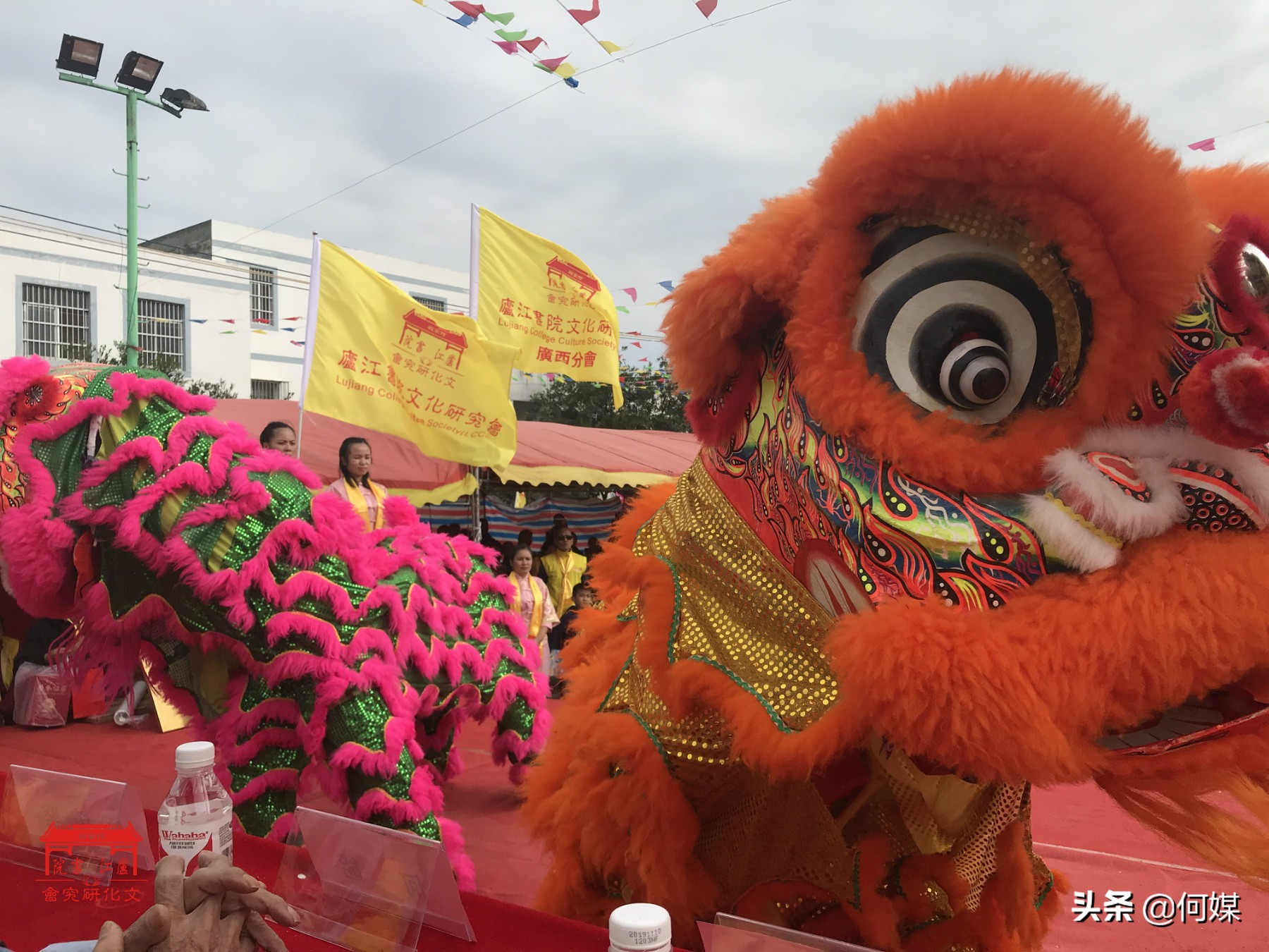 庐江书院何氏,庐江书院何氏家谱