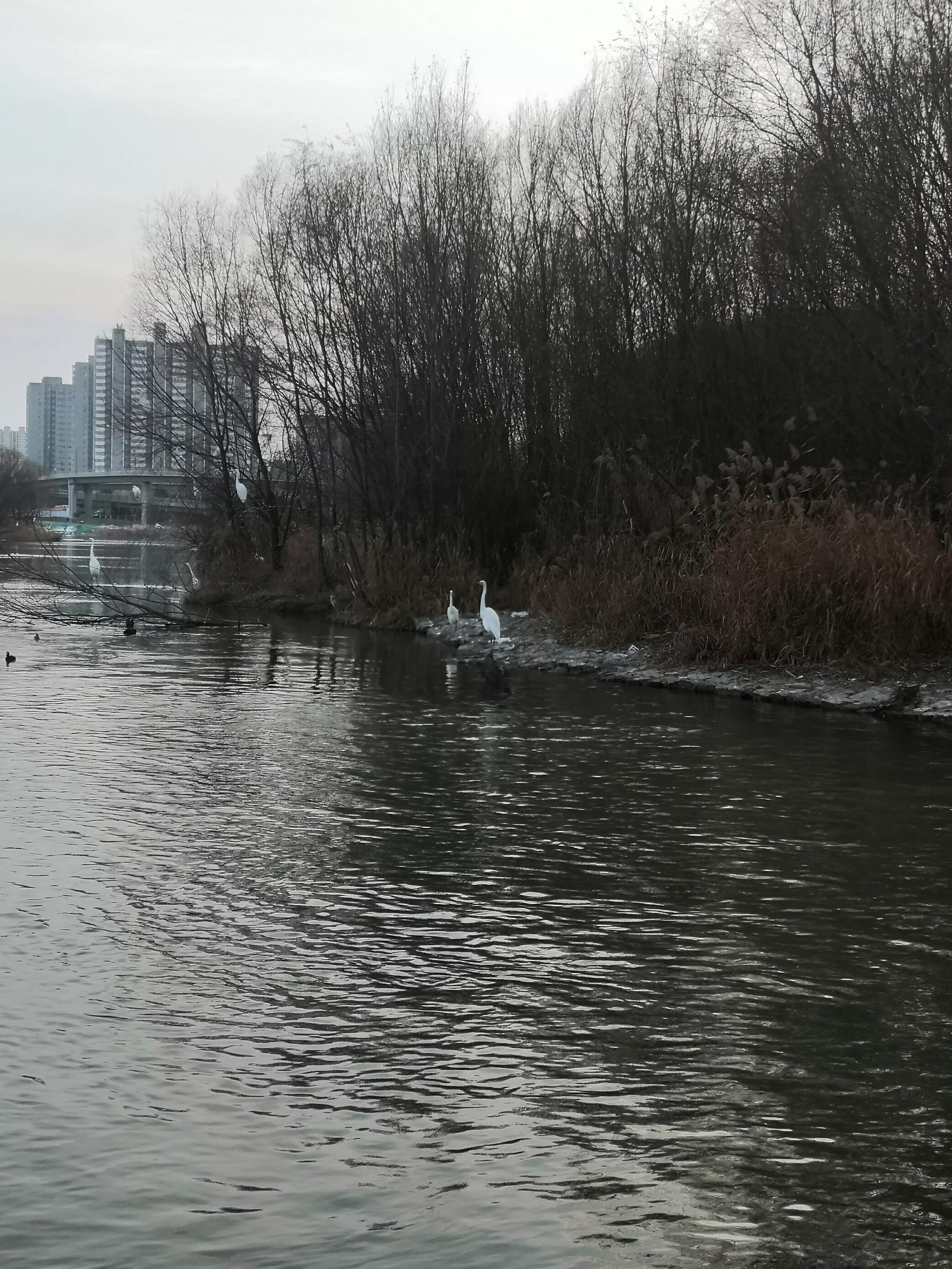 12元的凯利泰香不香？