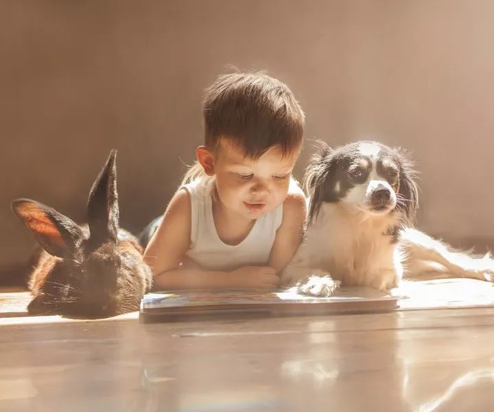 孩子比赛没拿到奖品怎么安慰,宝宝比赛没有拿到奖状嚎啕大哭