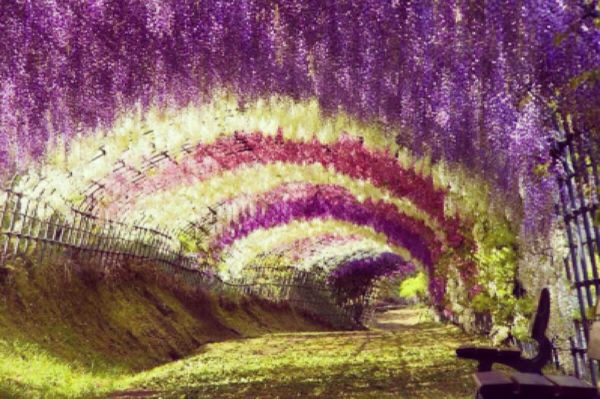 人一生必去的两个景点,一生必去的5个神奇景点