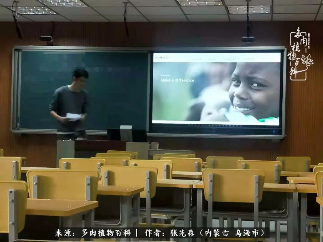 吸取教训，不断探索，英语老师的多肉碎碎念