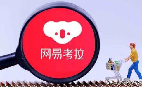 齐达内转会皇马的转会费是多少,齐达内为什么转会皇马