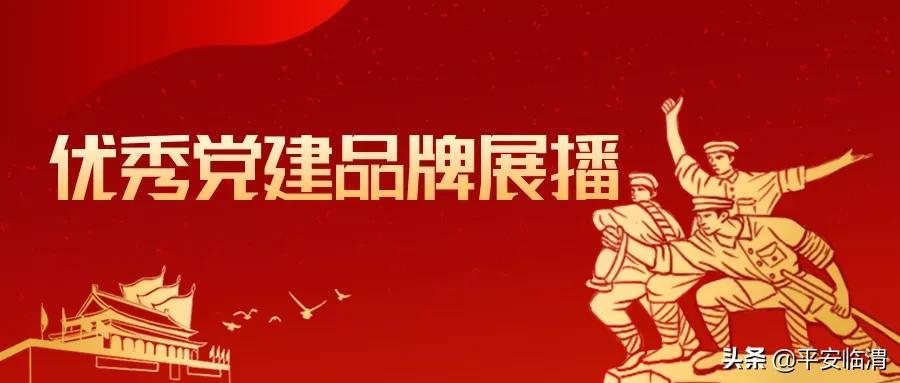基层党支部党建品牌优秀案例,优秀党支部成果展示