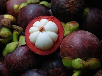 知道山竹那么贵，买时就别随便拿，学学这几点，小贩：有点料