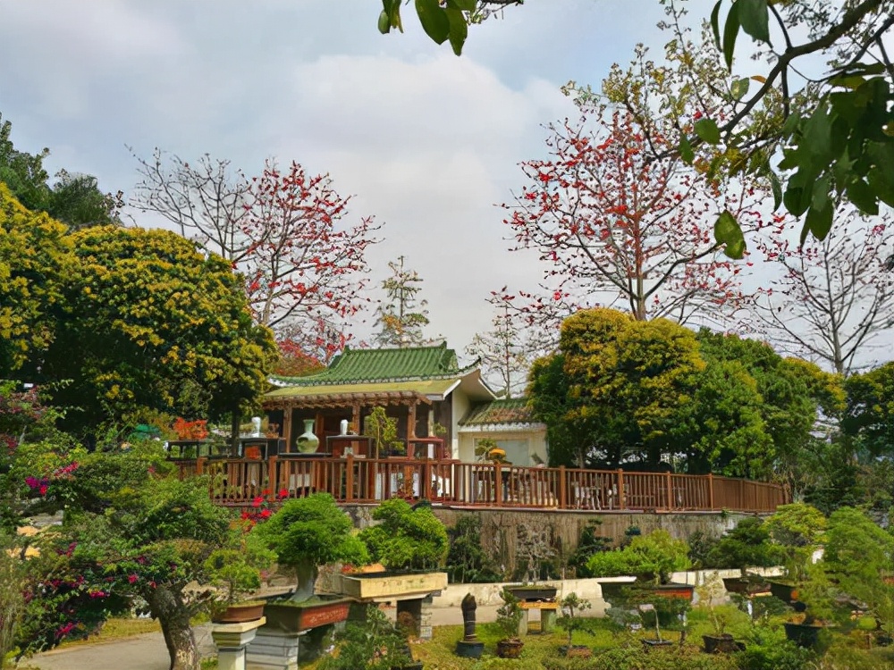 深圳10大著名旅游景点排名表,深圳三个旅游景点