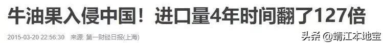 牛油果营销,牛油果营销文案