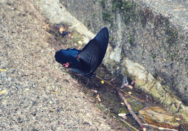 迟来的蜜月迟到的游记,迟来三年的蜜月之旅