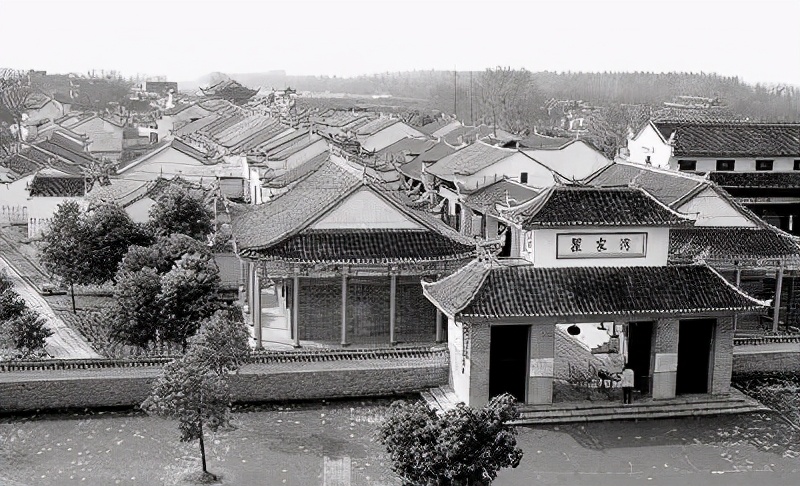 穷小子进城创业被骗,穷小子经商回家竟拿出100万