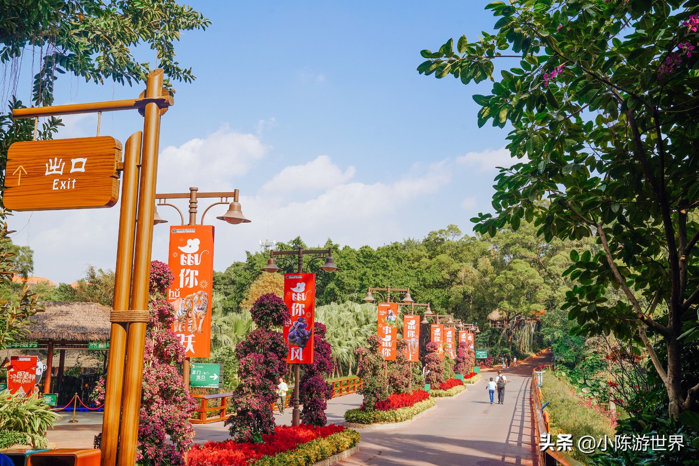 寒假广州长隆三天两夜亲子游攻略,带孩子广州长隆旅游攻略