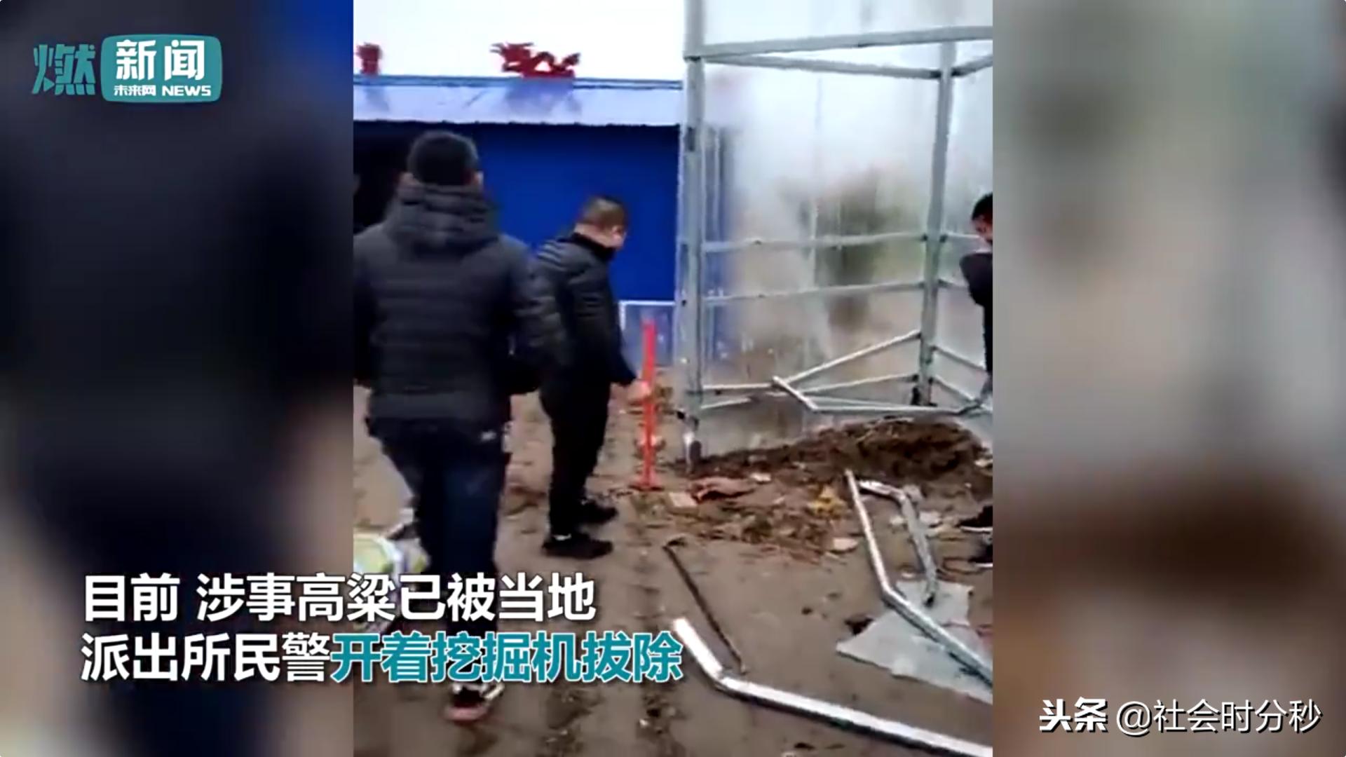 山东5.7米“神高粱”引来村民烧香跪拜警方：是迷信已铲除