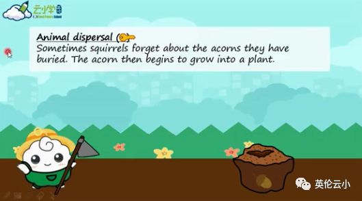 植物传播种子的方法有哪些二年级,我知道植物传播种子的方式有哪些