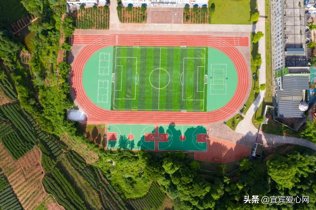 航拍青山绿水震撼风景竖屏视频,震撼校园秋景航拍