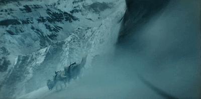 二哈多哥极限逃跑,多哥为什么跟其他哈士奇不一样