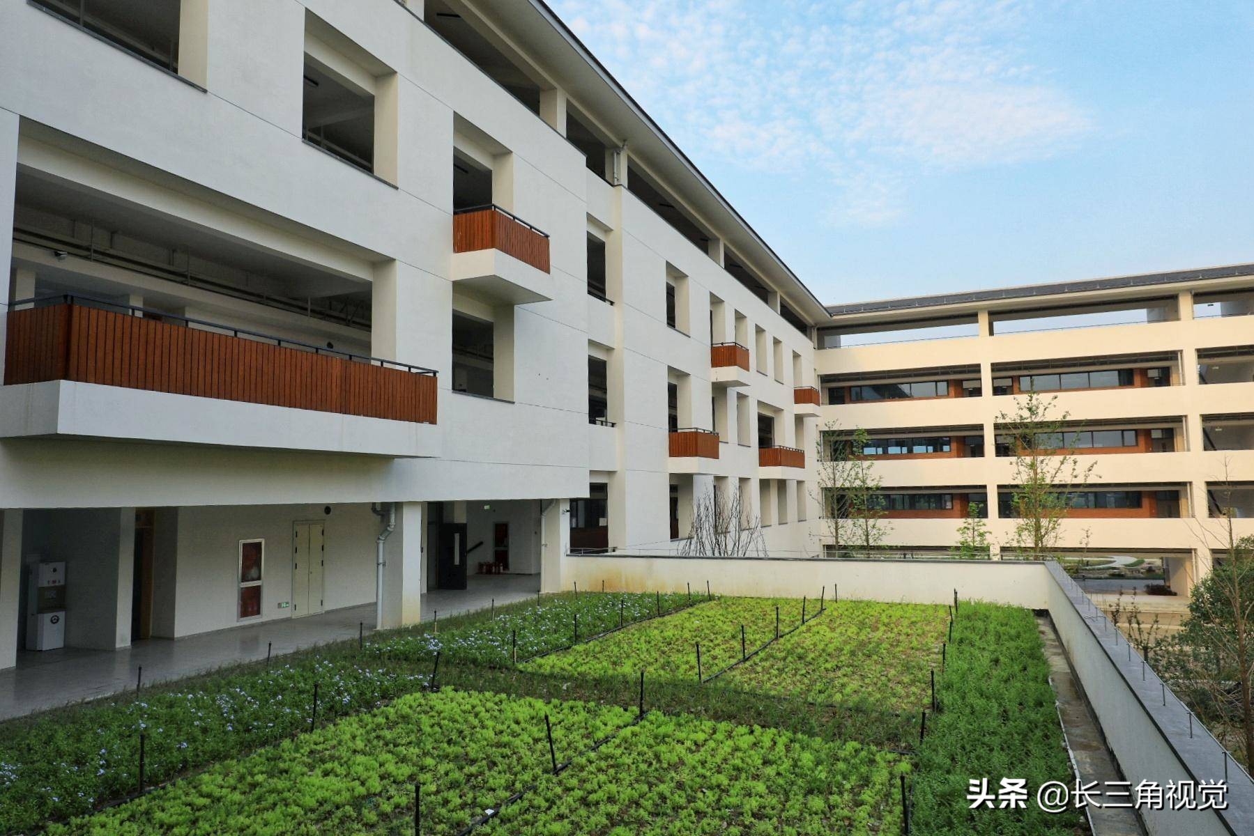 婀栧窞婊ㄦ箹楂樼骇涓,婀栧窞楂樼骇涓