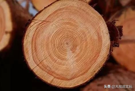 玩木头书籍,玩木头的