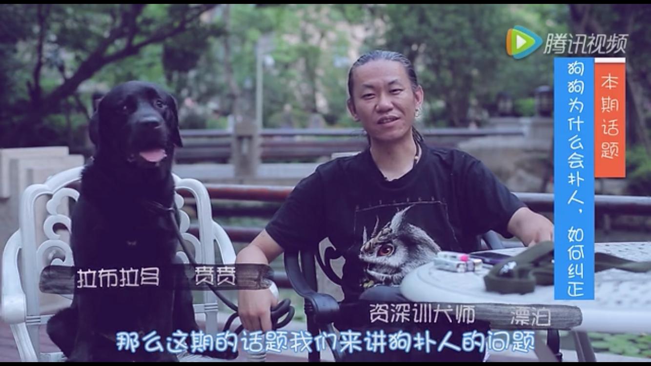 狗狗习惯性扑人怎么办？几个训练小技巧就能解决