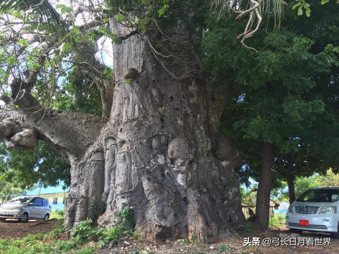 还没走完非洲，我就好羡慕那些旅行代购的