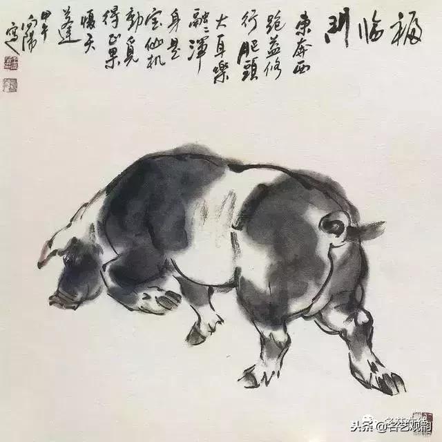 小朋友画猪简单又好看,猪年画猪中国画