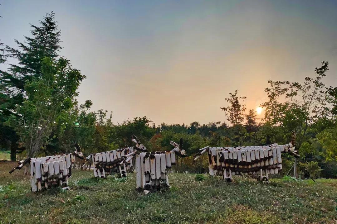辽宁省高校(三十二)大连外国语大学