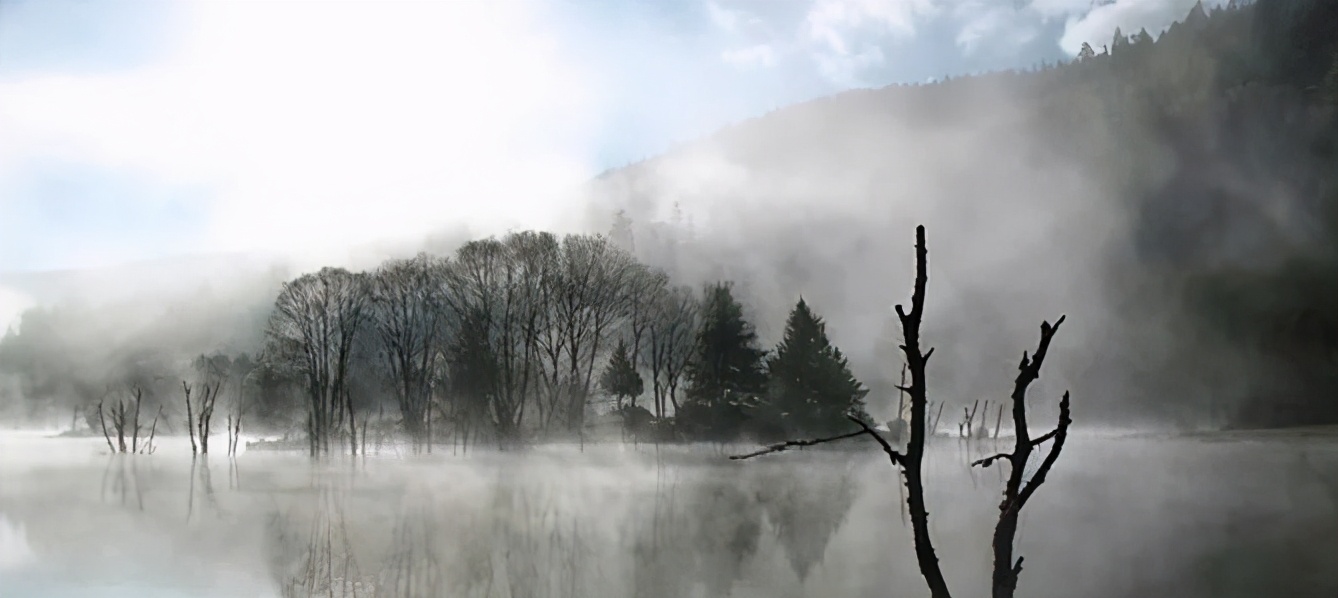 带你Get《司藤》同款神仙美景,春天的香格里拉这样玩
