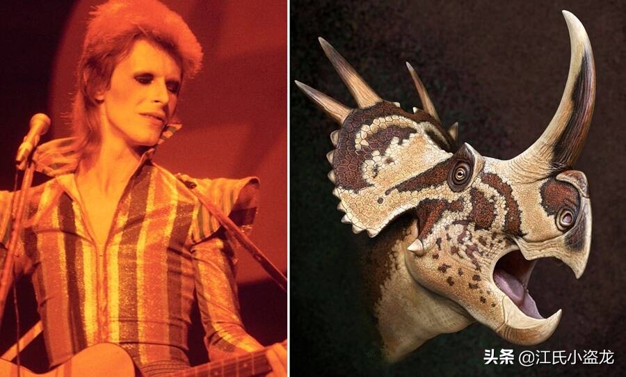 古生物时代有多少种恐龙,人类已经发现了多少恐龙种类