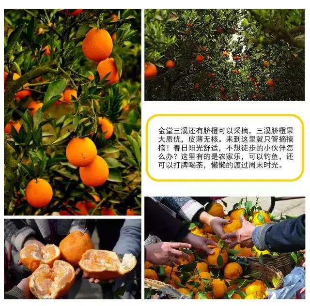 成都小众网红打卡地,成都最值得去的小众打卡地