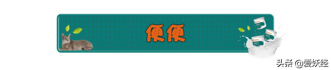 修正宠物羊奶粉测评,reddog红狗羊奶粉测评