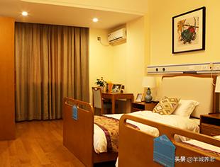 广州市天河区岭南养生谷养老院,广州颐寿养老院一览表