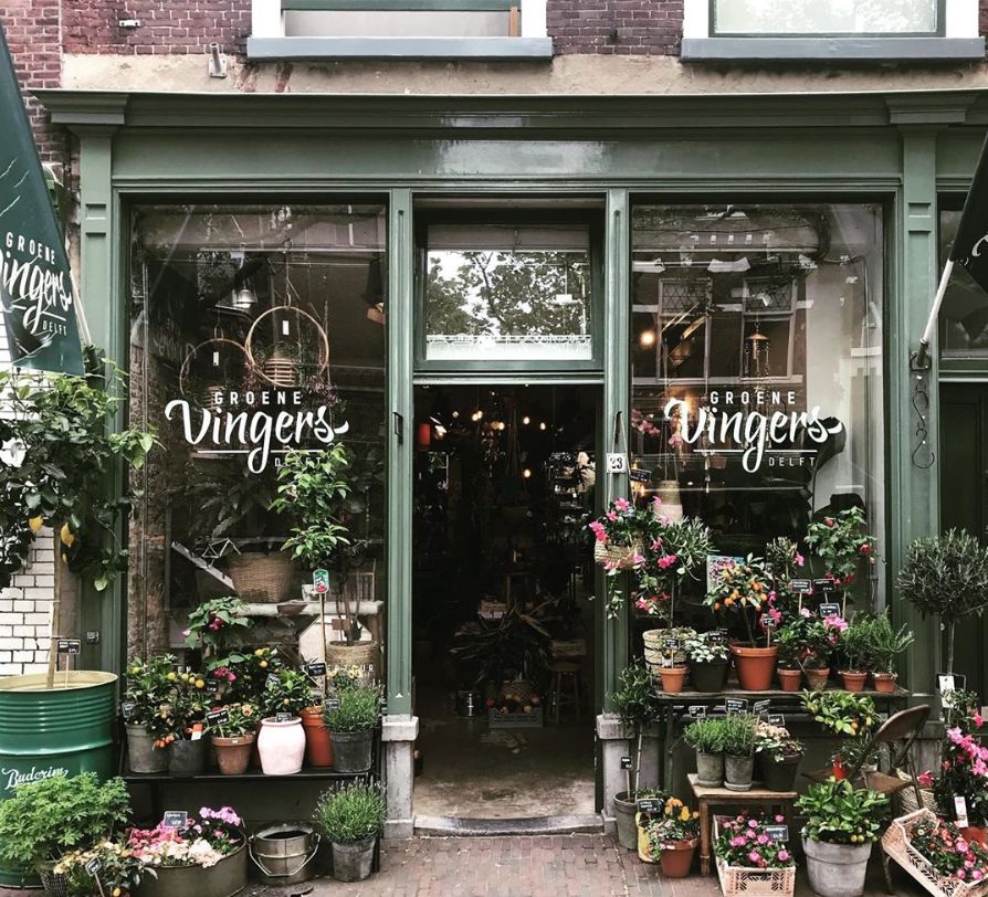 开花店的十大忠告,开花店的人现在都怎么样了