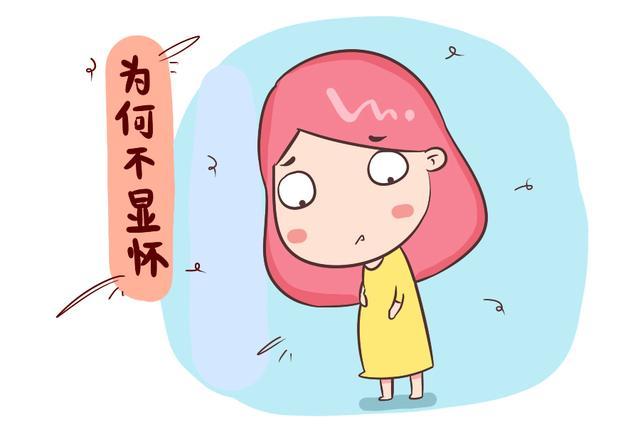 怀孕几个月会很显怀,怀孕几个月还是有奶