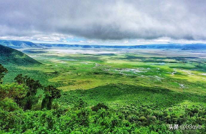 鏈涙棤杈归檯鐨勬捣,鏈涙棤杈归檯