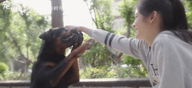 隔离的日子如同宅家,被隔离的日子真难熬吗