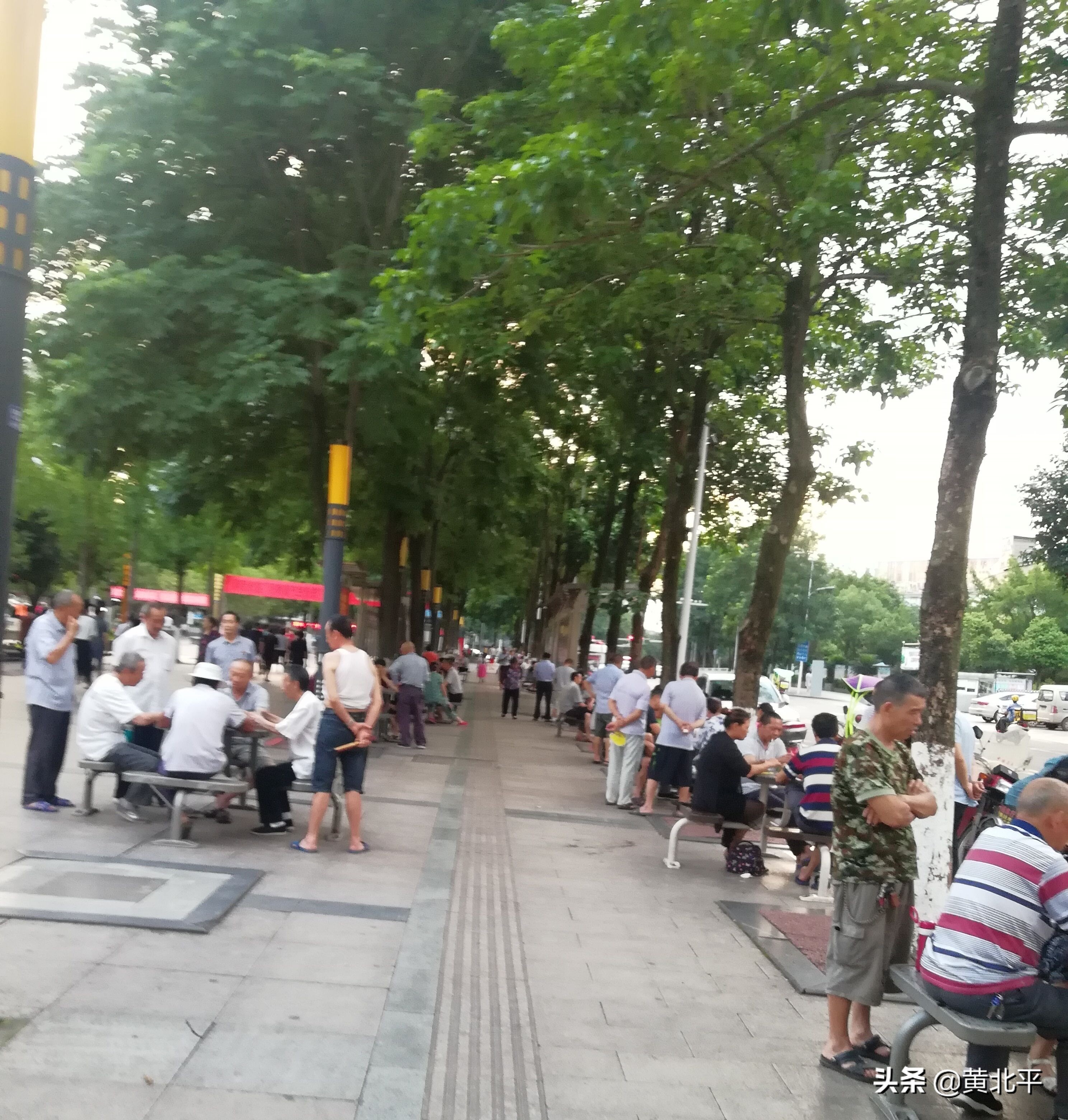 重庆市潼南区视频,重庆市潼南区房价