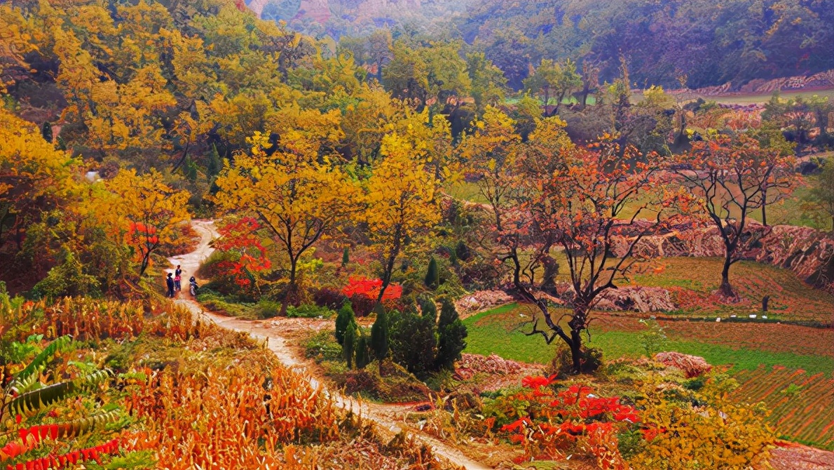 临淄世界足球起源地,世界足球发源地临淄