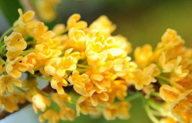 自驾游路线推荐苏州阳澄湖,自驾游苏州阳澄湖旅游攻略