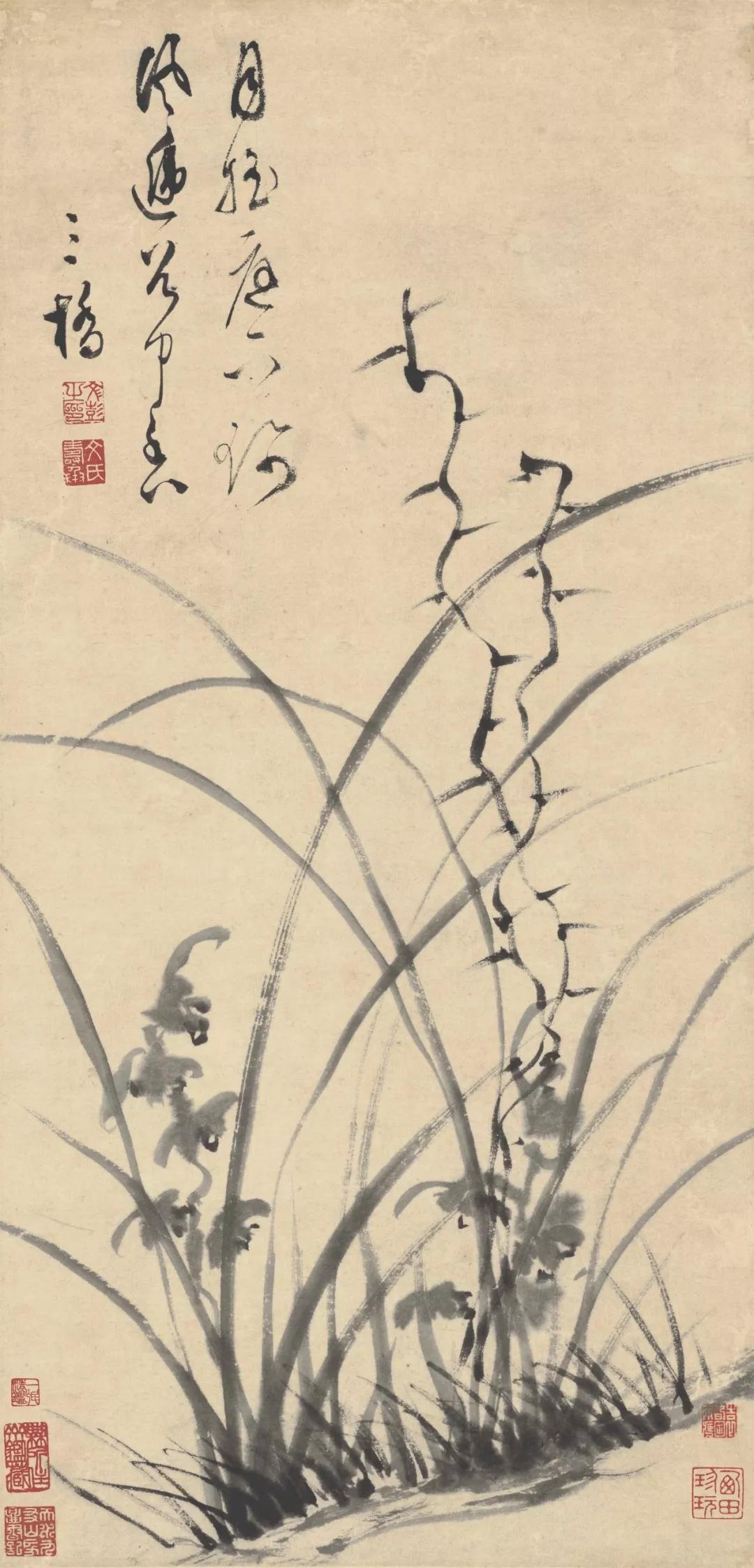国画兰花加花瓶作品欣赏图片,五幅古代名家笔下的国画兰花欣赏