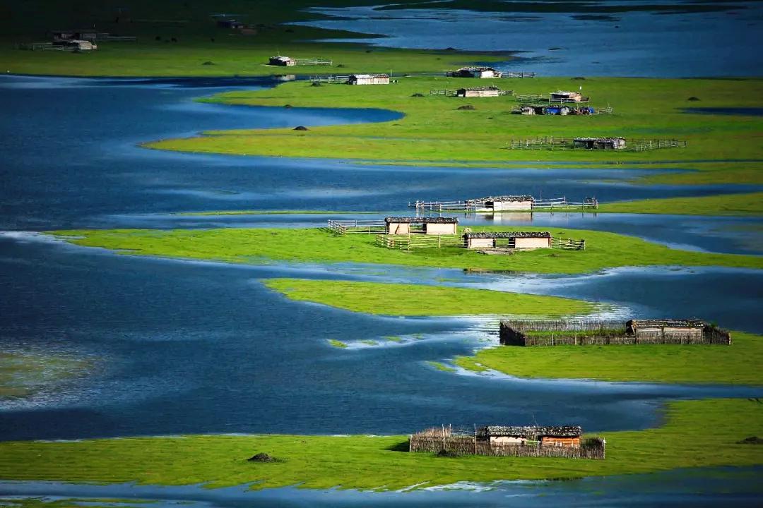 带你Get《司藤》同款神仙美景,春天的香格里拉这样玩